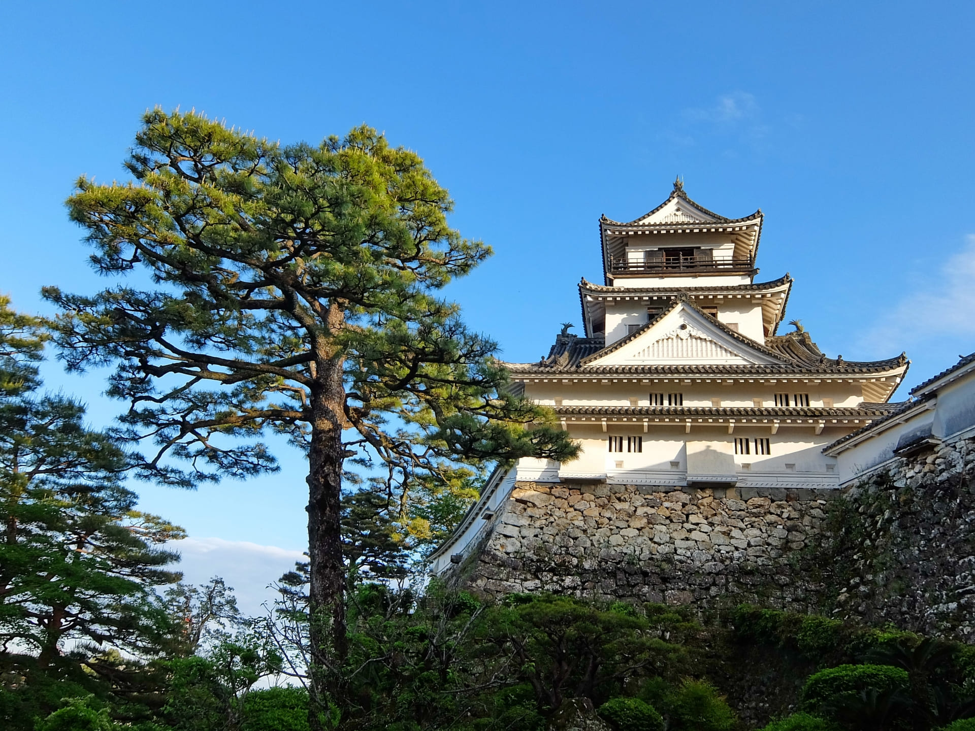 青空のもとそびえる高知城天守