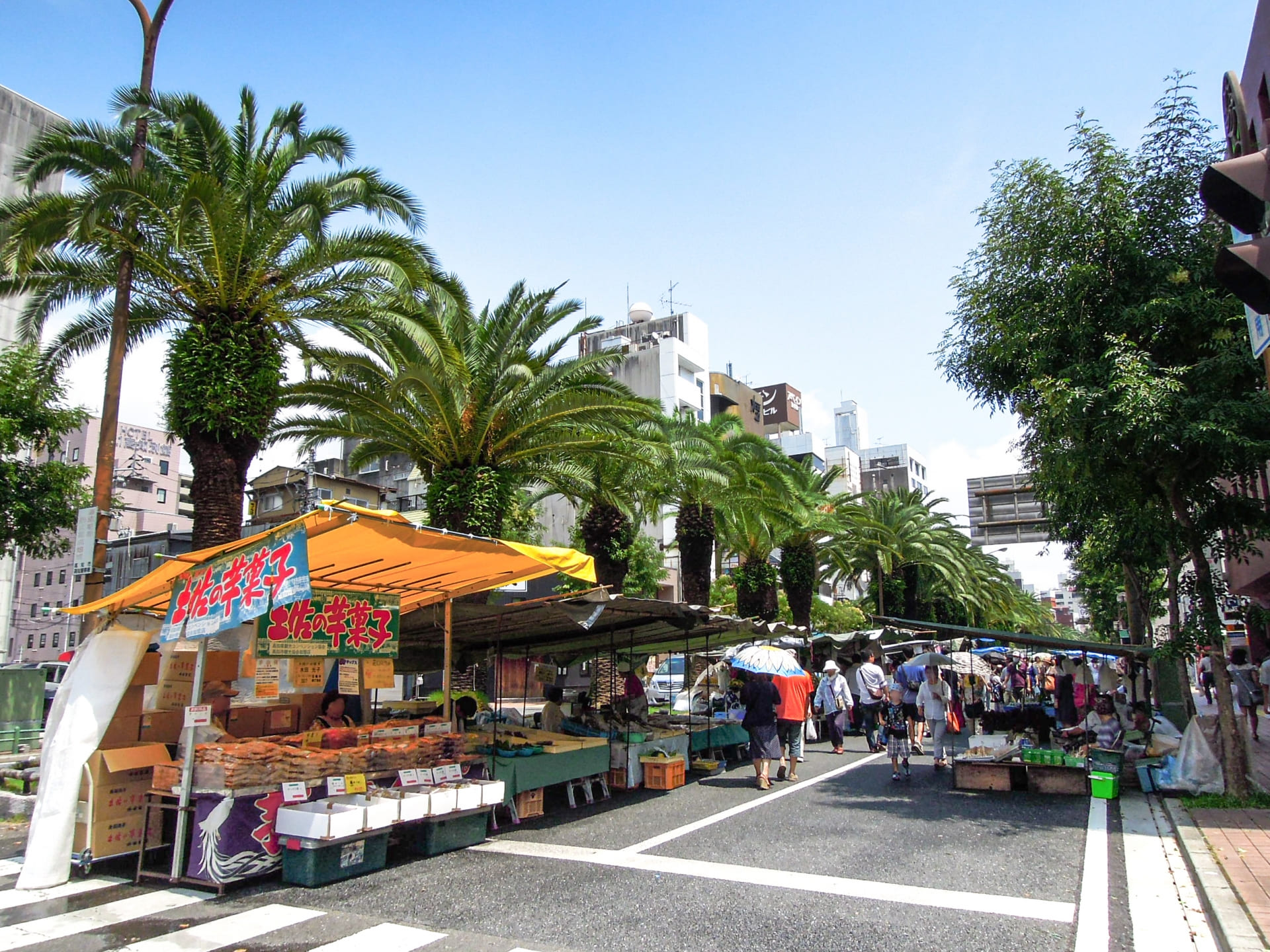 高知日曜市——追手筋に並ぶ露店の列