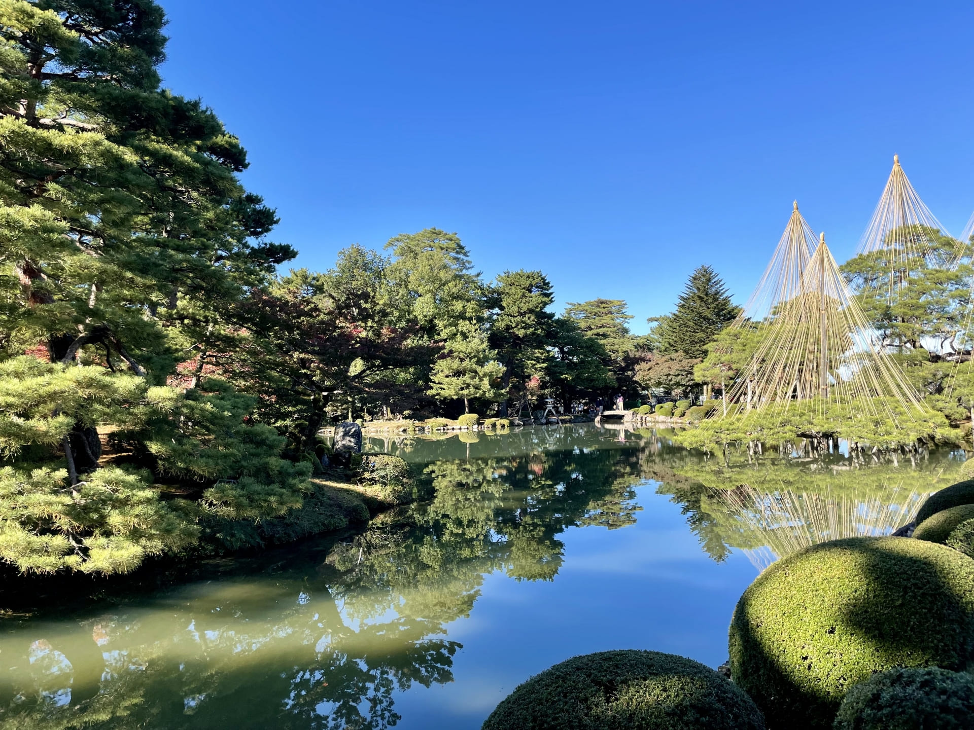 兼六園の霞ヶ池と雪吊り
