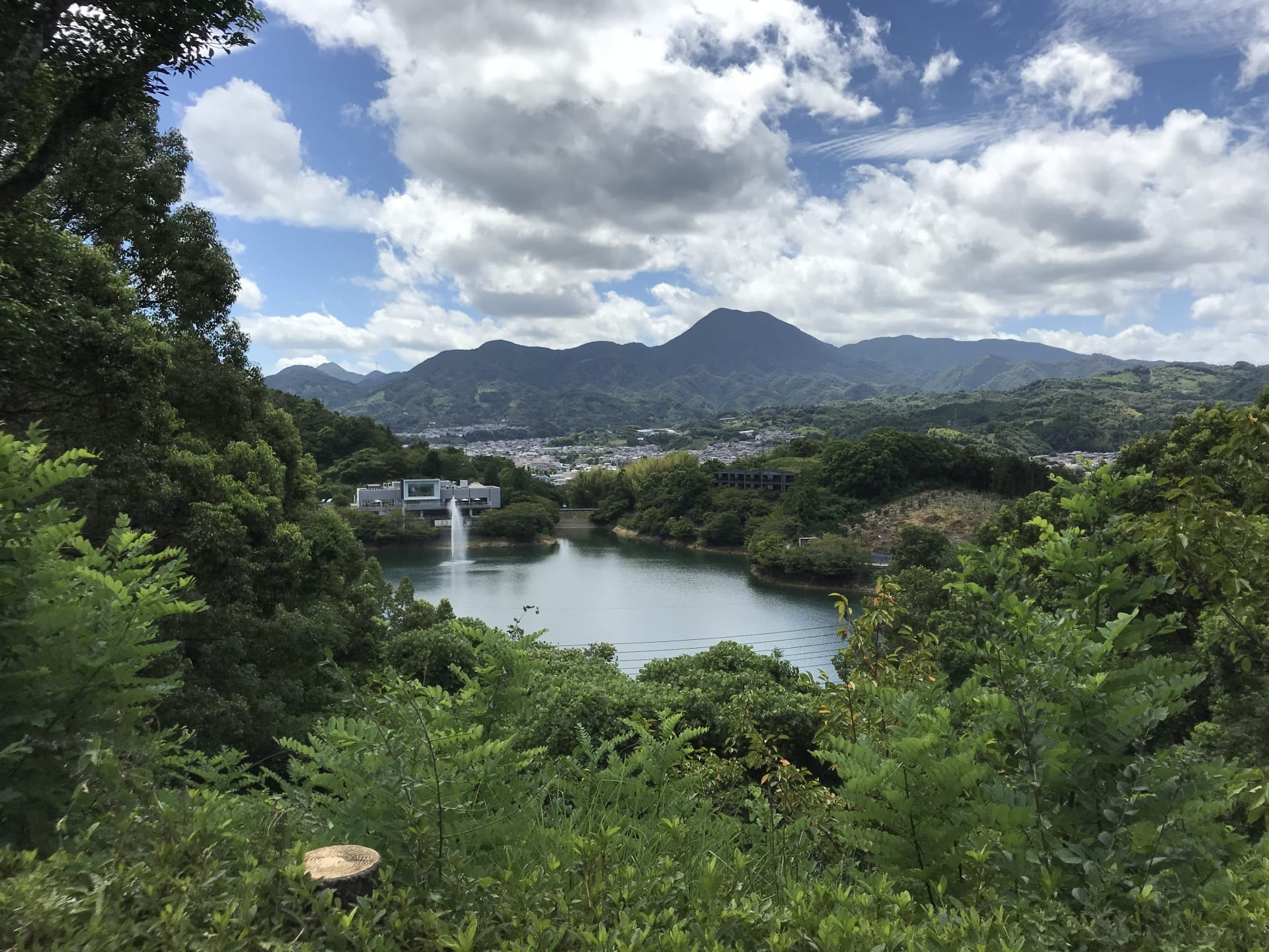 砥部町の緑豊かな丘からの眺め。池と背後の山並みが広がる砥部の風景