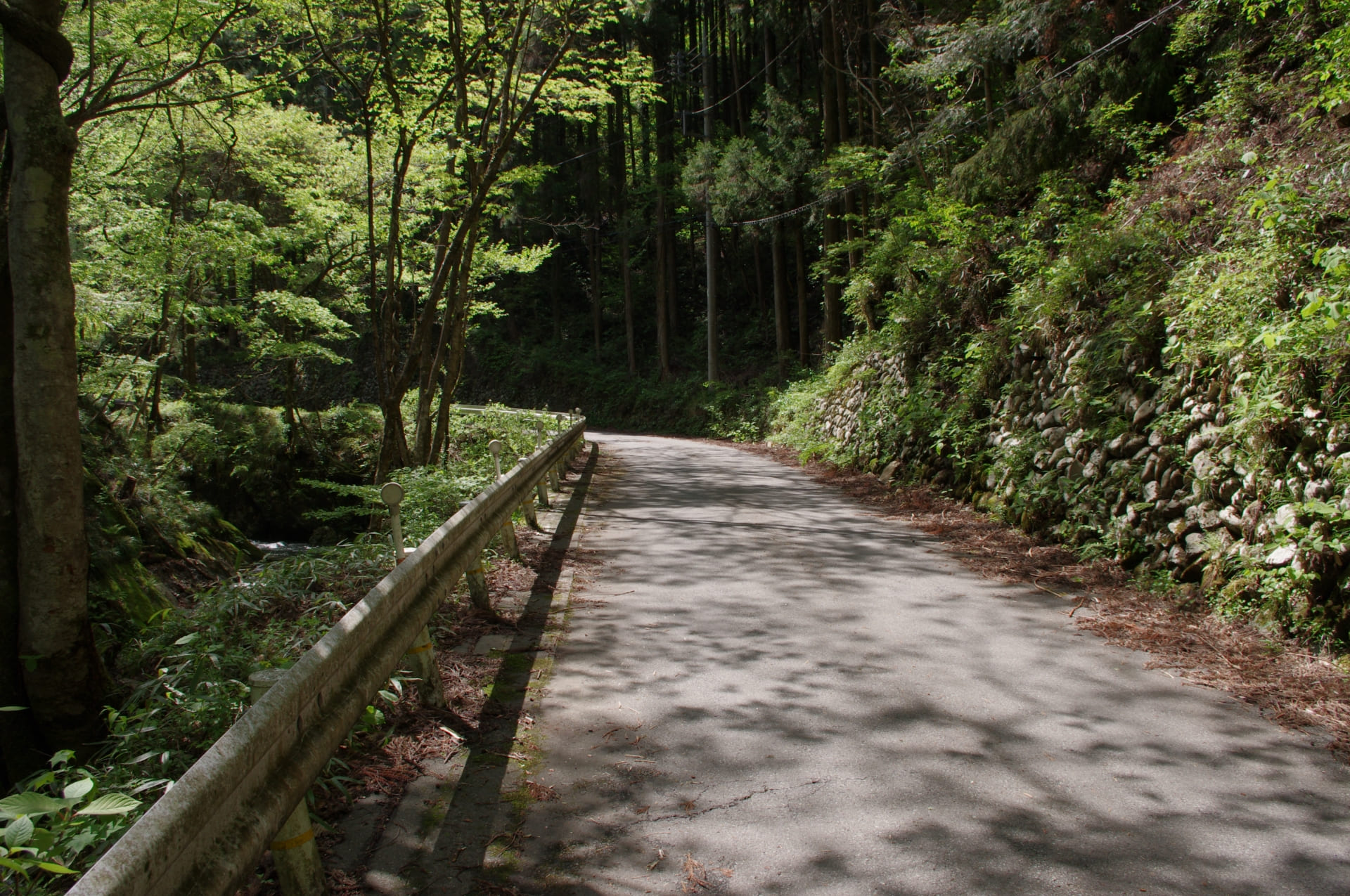 ガードレールのある日本の山あいの細い道