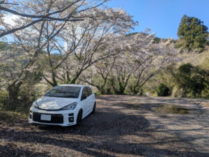 桜の咲く地方の駐車場に停まったレンタカー